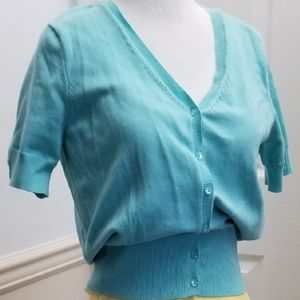 SS Sweater, light aqua, Petite Sophisticate NWT